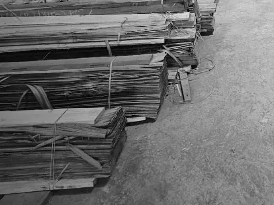 Bundles of veneer leaves on the factory floor